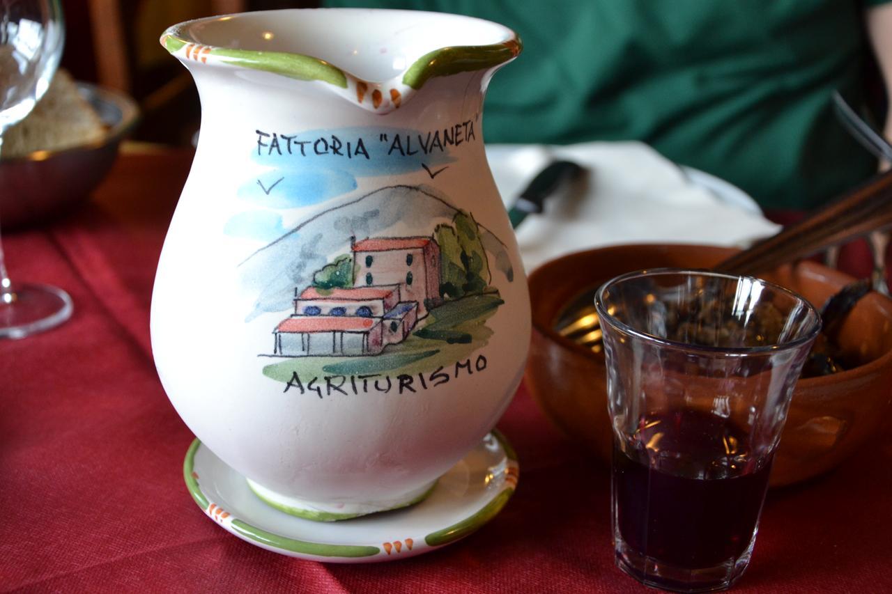 Fattoria Alvaneta パドゥーラ エクステリア 写真