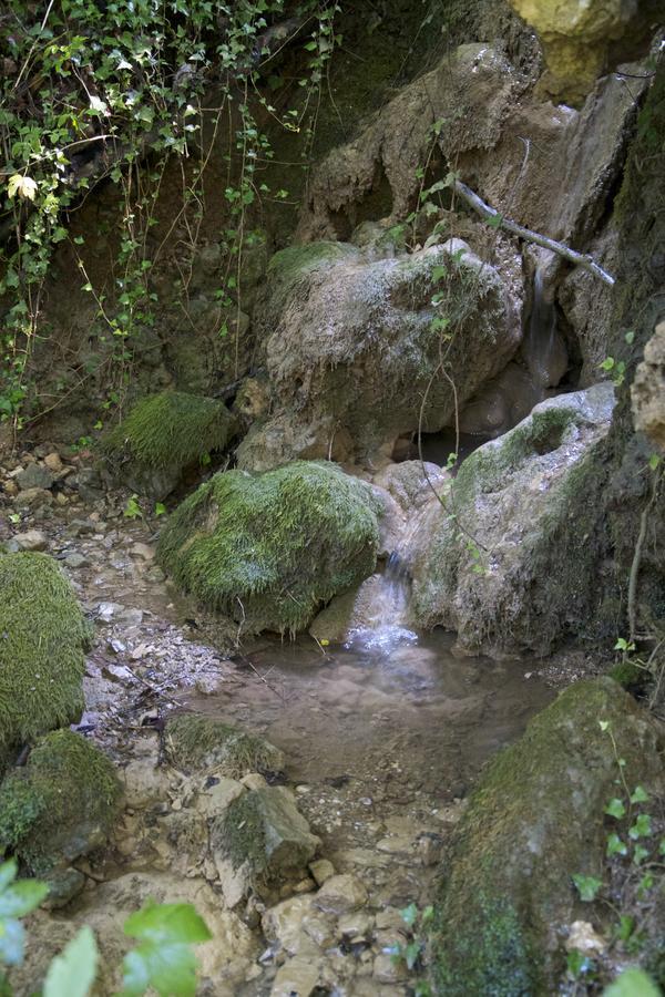 Fattoria Alvaneta パドゥーラ エクステリア 写真